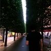 zidan_a